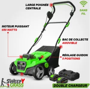 Brosse électrique "aspirante" LYBERTY sans fil pour gazon synthétique