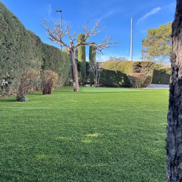 Gazon Synthétique PRESTIGE 50mm