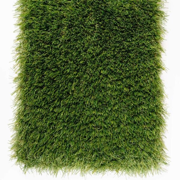 Gazon Synthétique OASIS 55mm