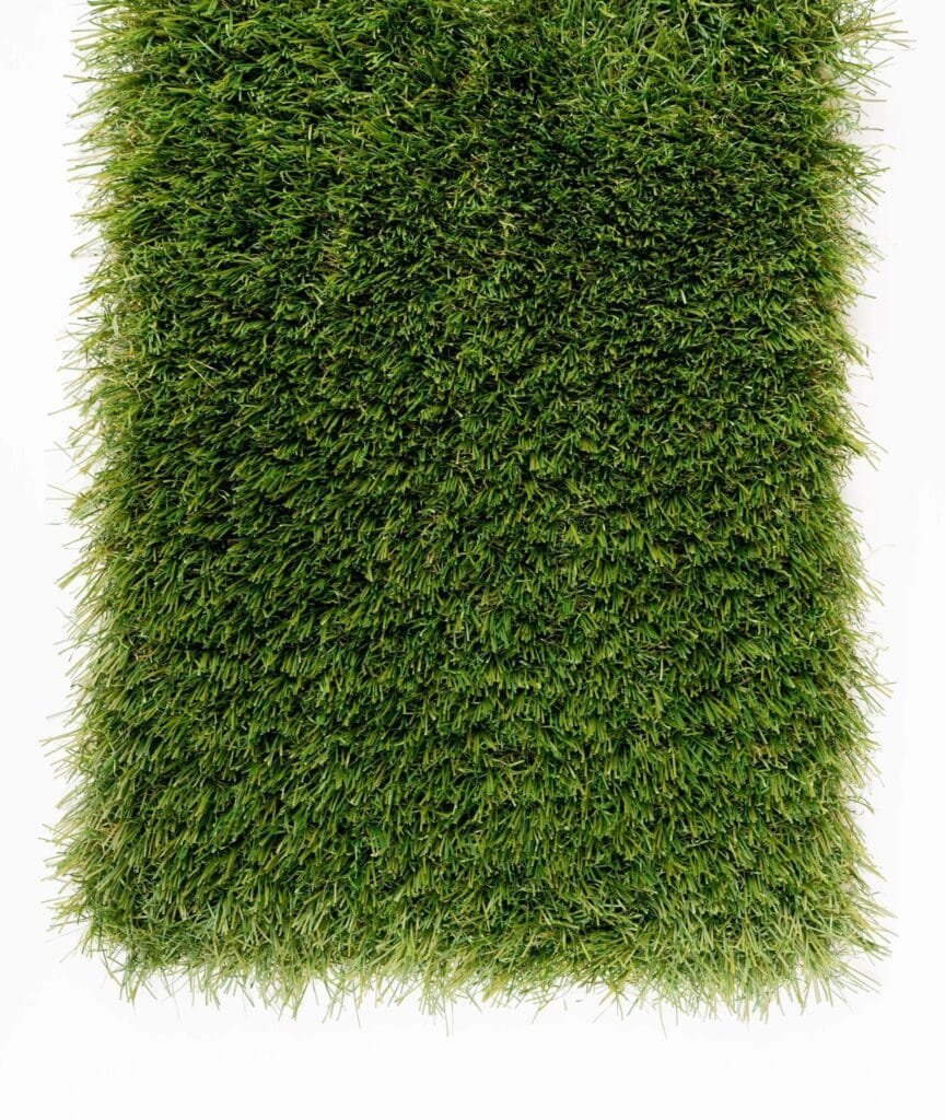 Gazon Synthétique OASIS 55mm