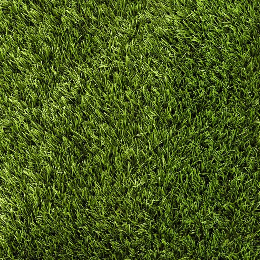 Gazon Synthétique PLAISIR 30mm