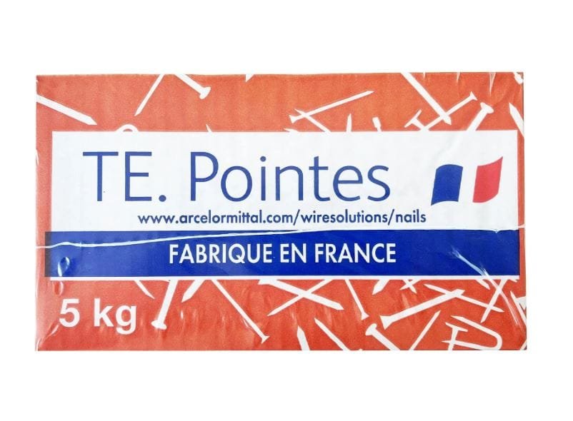 Clous à Tête Plate