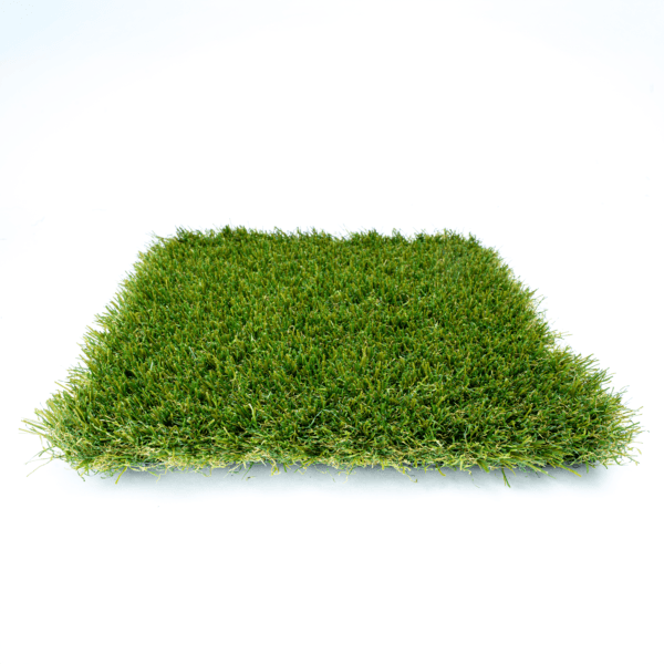 Gazon Synthétique OASIS 55mm